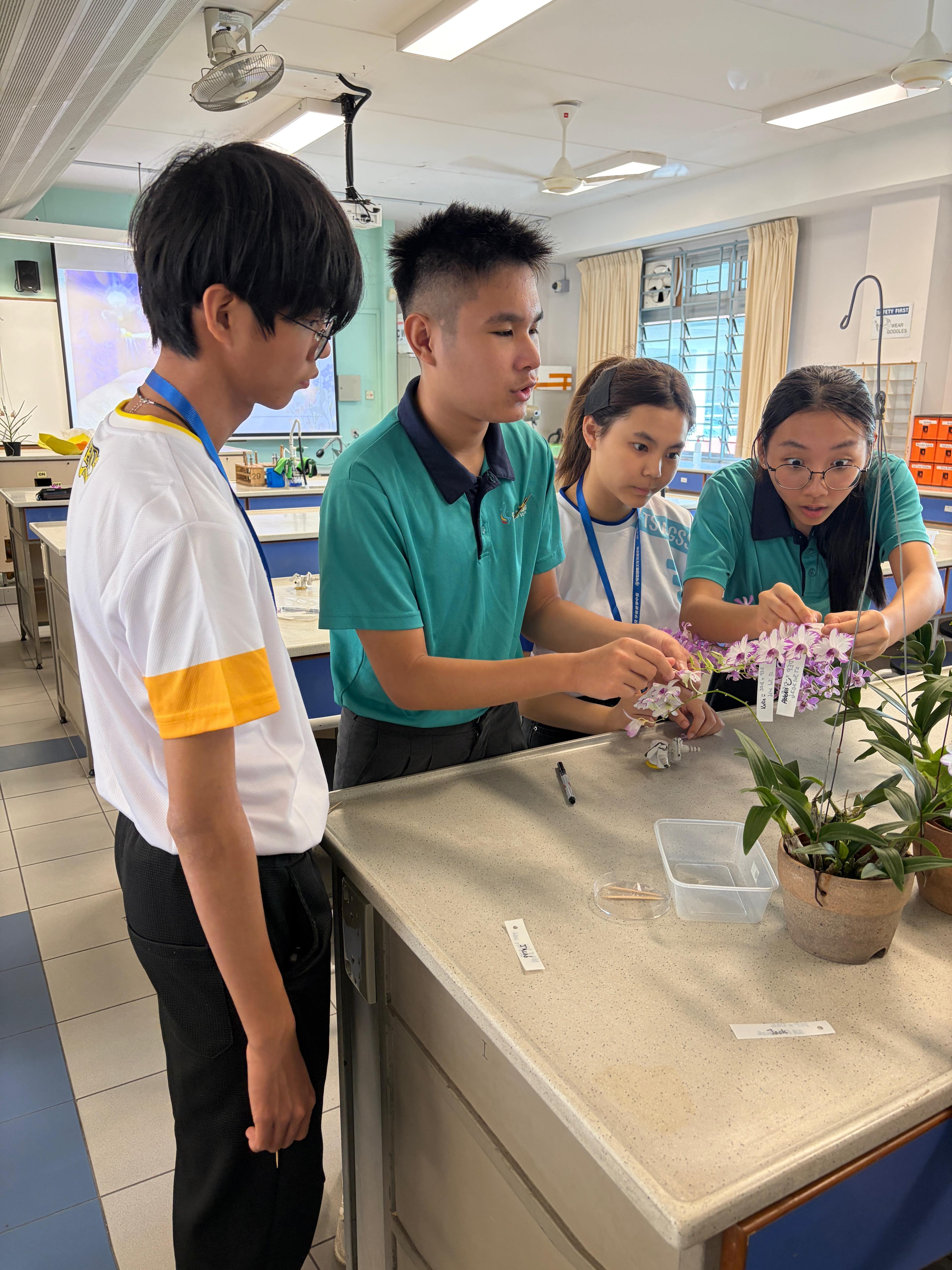 Students trying to hybridise an orchid